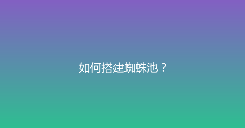 如何搭建蜘蛛池？ 封面图