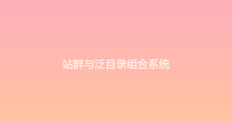 站群与泛目录组合系统 封面图