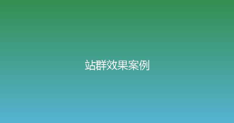 站群效果案例 封面图
