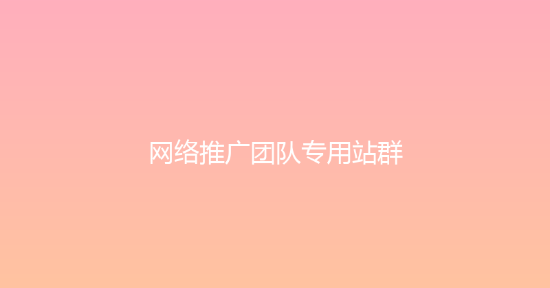 网络推广团队专用站群 封面图