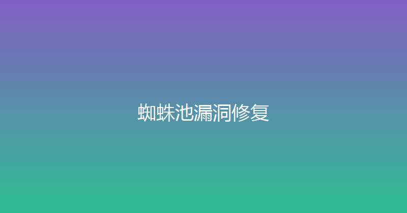 蜘蛛池漏洞修复 封面图